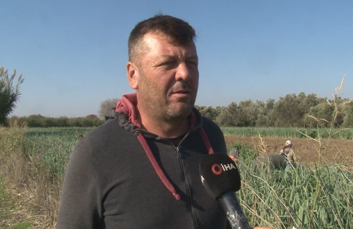 Kış sebzesi pırasada hasat heyecanı