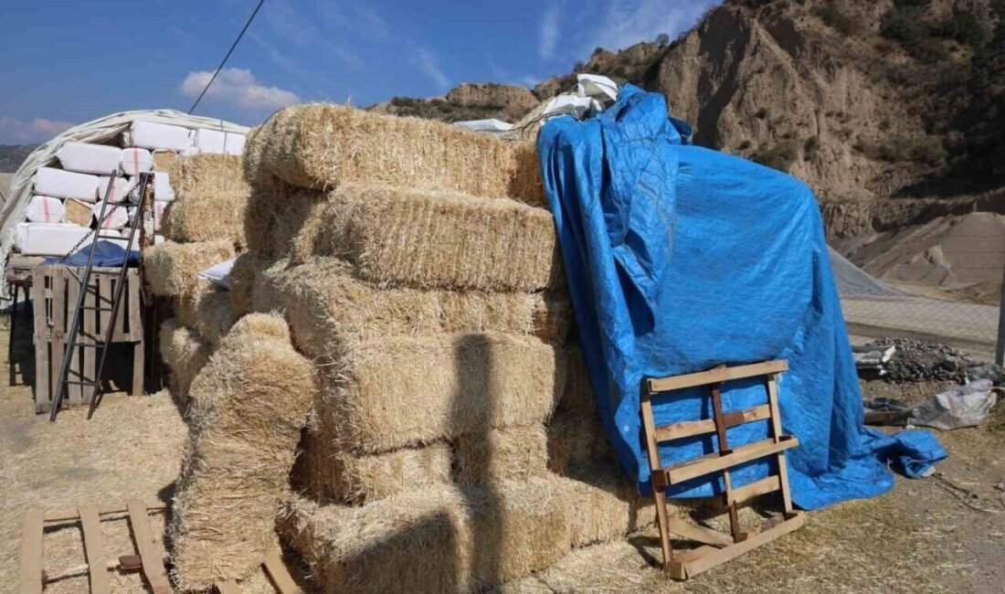 Köşk’teki saman pazarı sürücülere zor anlar yaşatıyor Rüzgarlı havalarda yola savrulan samanlar sürücülere zor anlar yaşatıyor. Vatandaşlar,