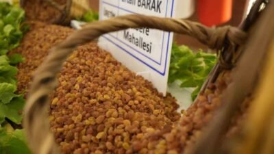 Türkiye’nin en önemli tarım kentlerinden biri olan Manisa’da, 2025 yılının