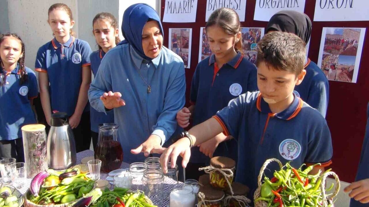 Minik eller, turşuyla büyük işlere imza atıyor