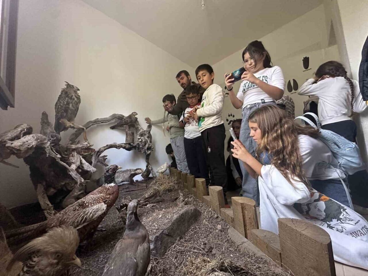 Öğrenciler yaban hayatını yakından tanıdı