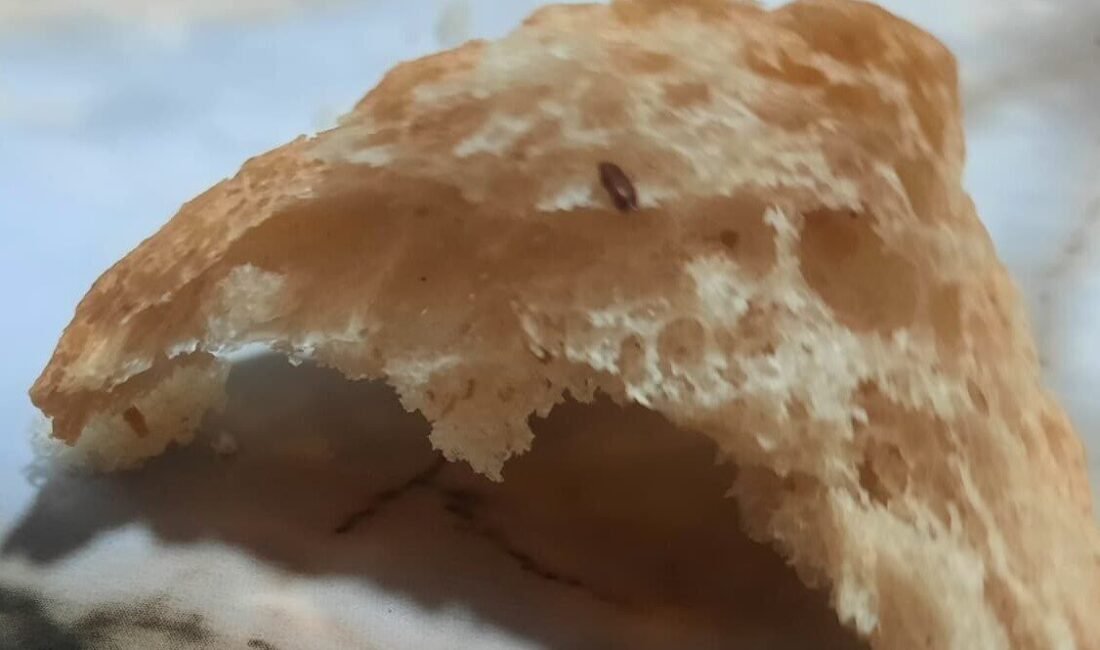 Denizli Pamukkale Belediyesi Halk Ekmek’ten alınan ekmeğin içerisinden fare dışkısı
