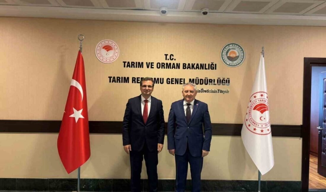 Salihli’ye yeni tarım yatırımı yolda Manisa’nın Salihli ilçesinde kurulması planlanan Tarım Organize Sanayi Bölgesiyle ilgili