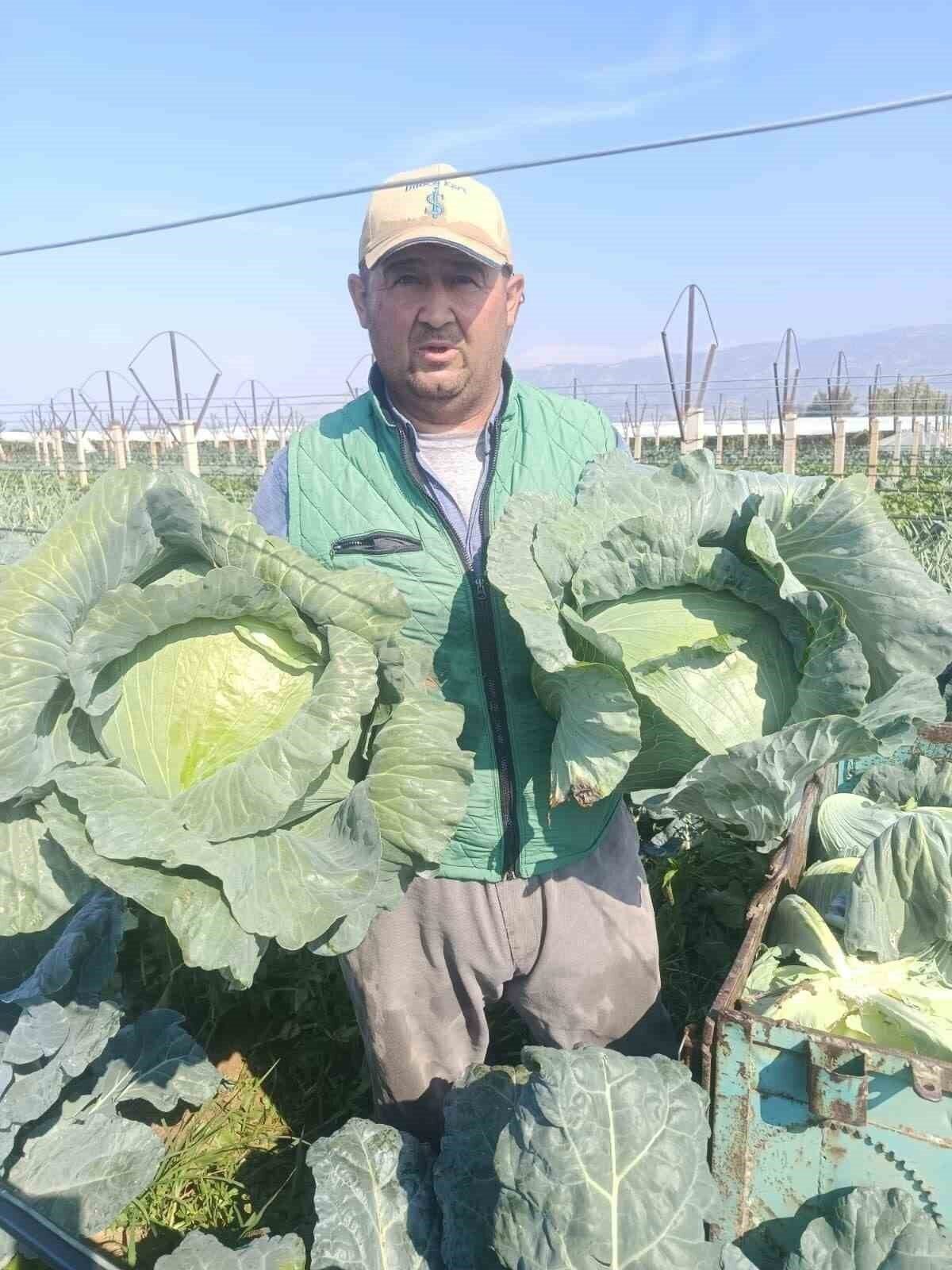 Sarıgöl Pazarı ata tohumlu sebzelerle renklendi