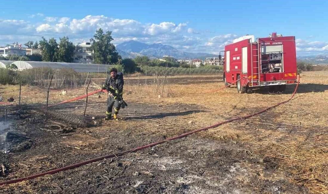 Antalya’nın Serik ilçesinde bir ahırda çıkan yangında 1 koyun telef