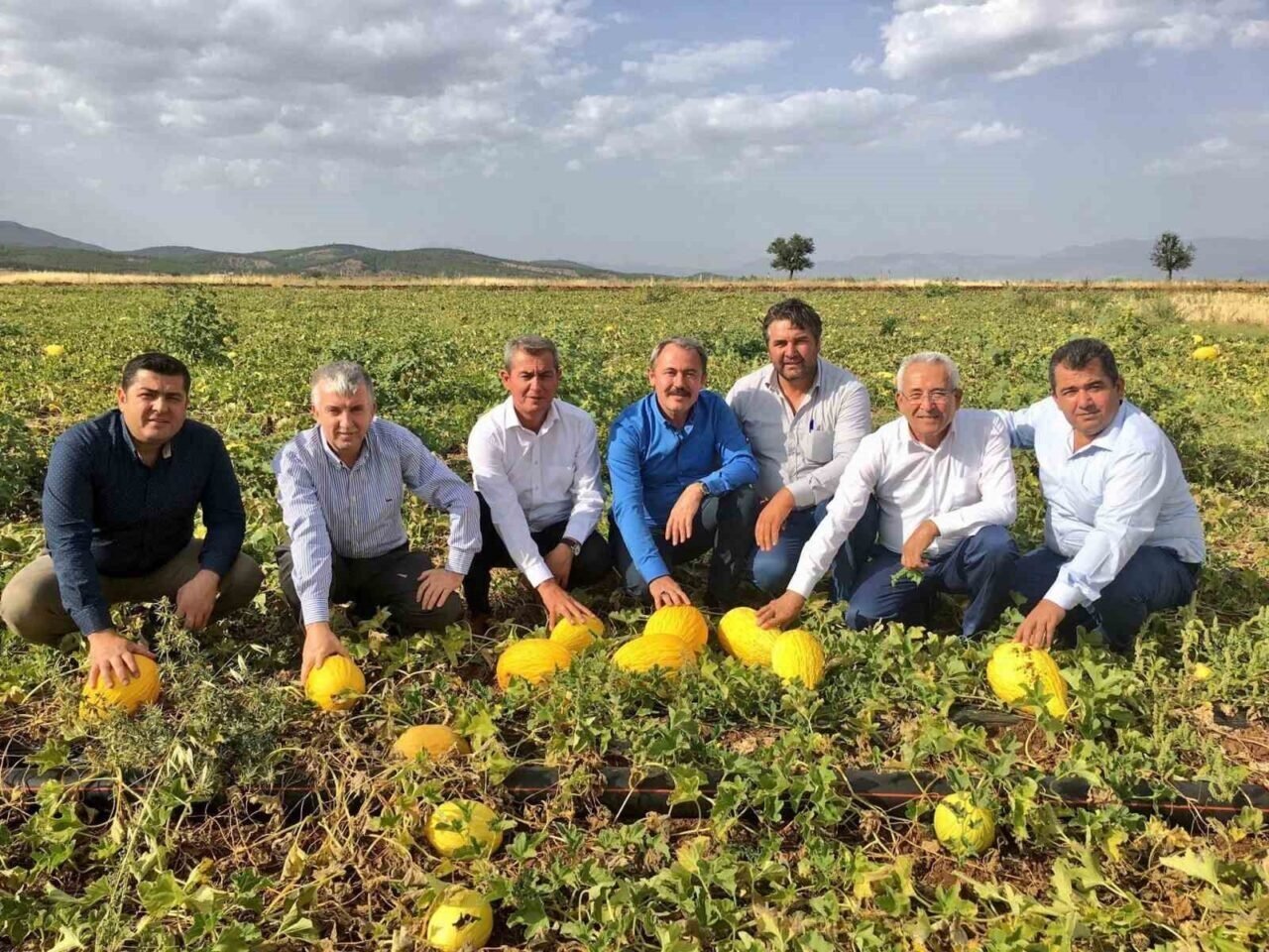 Tezgahlarda 10 liraya satılan Acıpayam kavunu tescillendi Tezgahlarda 10 liraya satılan Acıpayam kavunu tescillendi