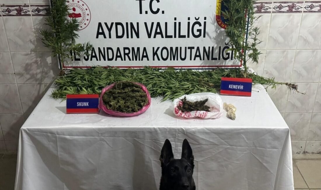 Uyuşturucu satıcısının evinde 498 gram skunk ele geçirildi Aydın’ın Nazilli ilçesinde jandarma ekipleri tarafından yapılan operasyonda 498 gram