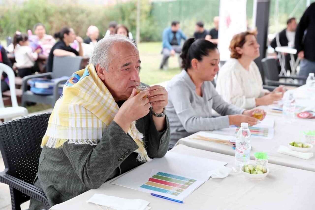 ’Zeytinin Yolculuğu’ Aliağa’da şenlikle kutlandı