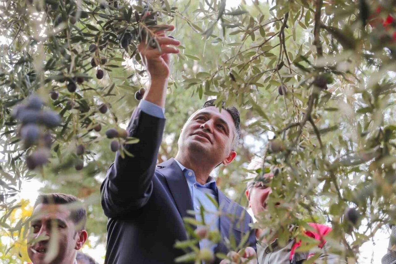 ’Zeytinin Yolculuğu’ Aliağa’da şenlikle kutlandı