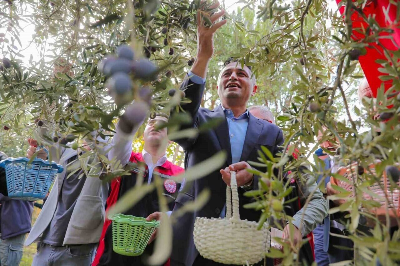’Zeytinin Yolculuğu’ Aliağa’da şenlikle kutlandı