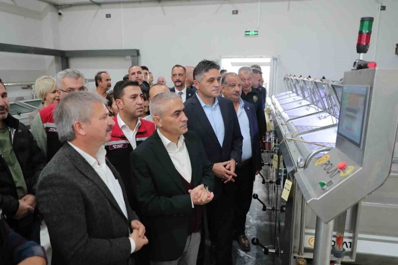 ’Zeytinin Yolculuğu’ Aliağa’da şenlikle kutlandı